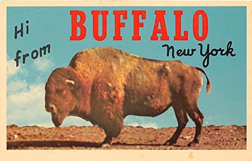 Пощенска картичка от Бъфало, Ню Йорк
