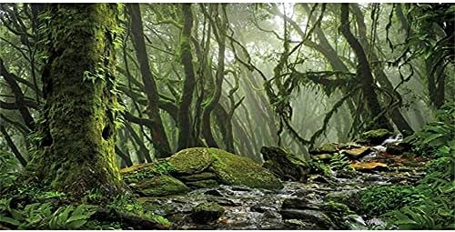 Невероятна Мъгла Гора на Фона на Терариума Поток Зелен Огромно Дърво на Фон на околната Среда на Влечуги Фон на Аквариума в Тропическа